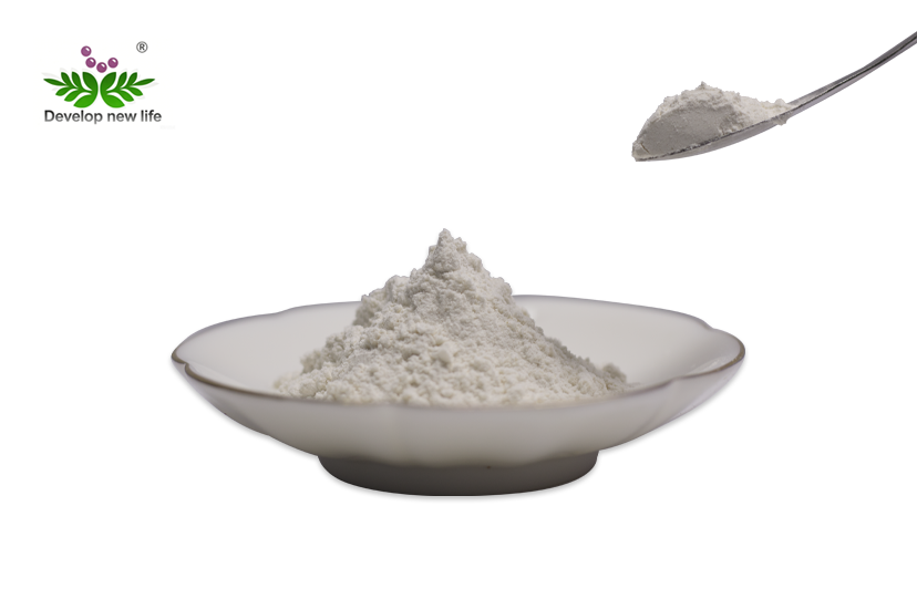 Organic Psyllium Seed Husk Powder